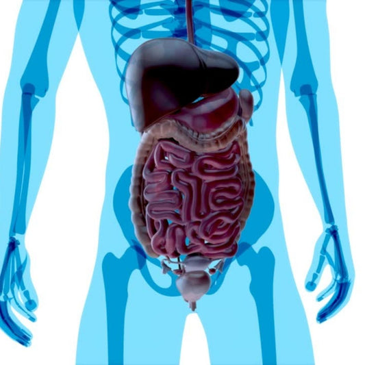 Prebiotics vs. Probiotics